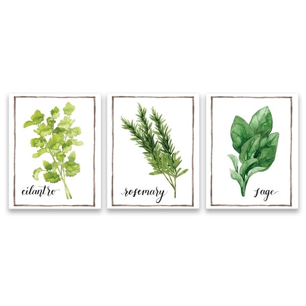 DISCONTINUED "Watercolor Herbs IV" Printed Canvas - Set of 3, 8W x 10H x 1.25D each - Multi-color