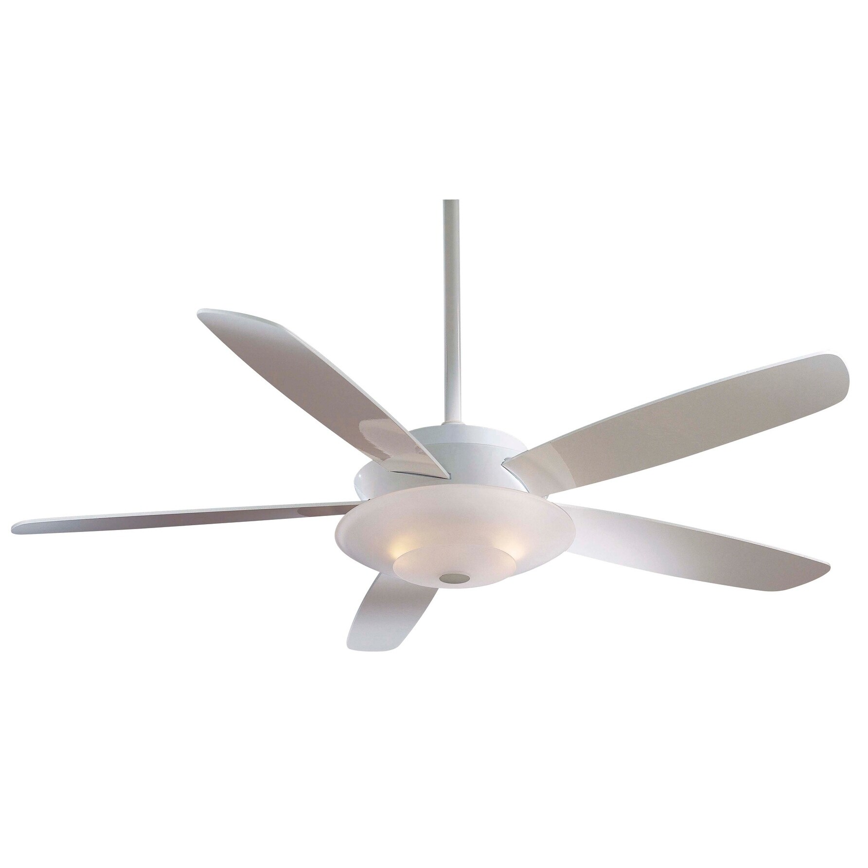 Shop Airus Ceiling Fan In White Finish W White Blades Free