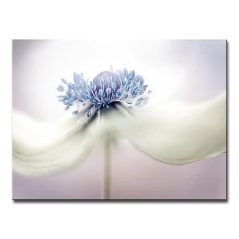 Anemone' Floral Wrapped Canvas Wall Art