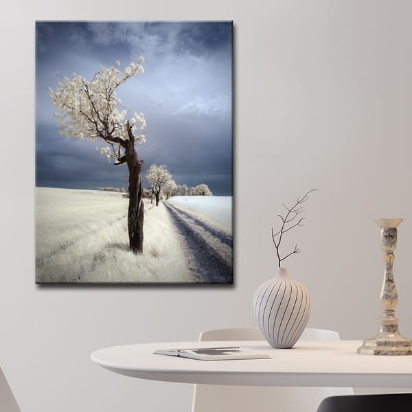 Shop Irenka Scenic Wrapped Canvas Wall Art Overstock 21256215