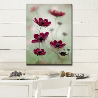 Cosmos Sway' Floral Wrapped Canvas Wall Art