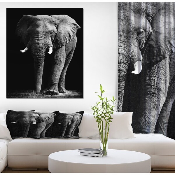 5 X 8 ELEPHANT BLACK BACKGROUND AFRICAN SAFARI AREA RUG 
