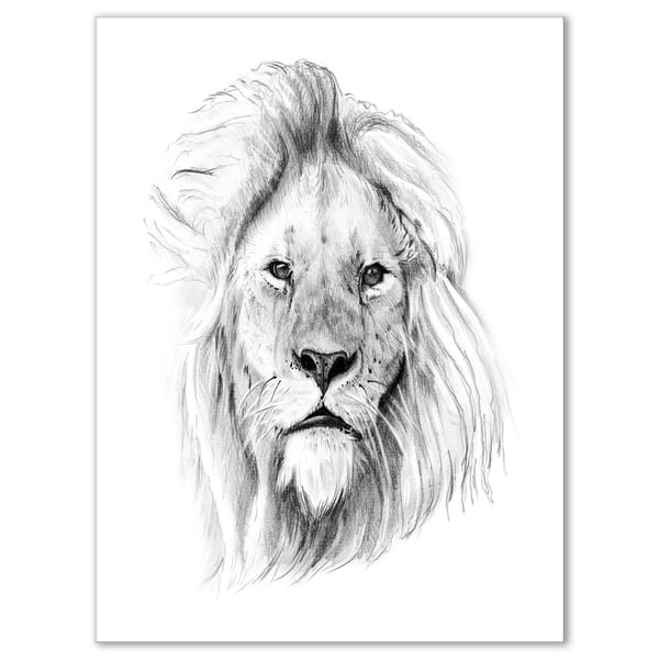 Shop Designart Pencil Lion Sketch In Black And White Animals