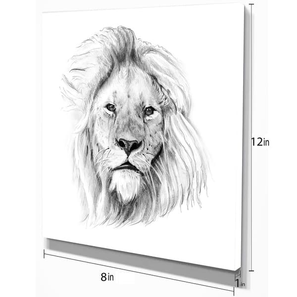 Shop Designart Pencil Lion Sketch In Black And White Animals