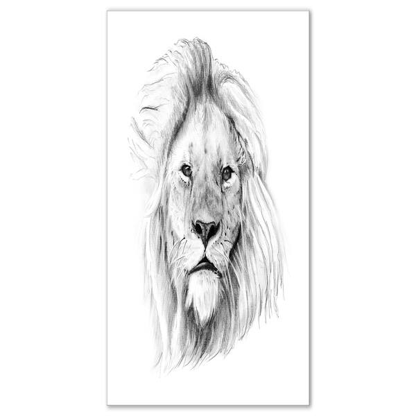 Shop Designart Pencil Lion Sketch In Black And White Animals