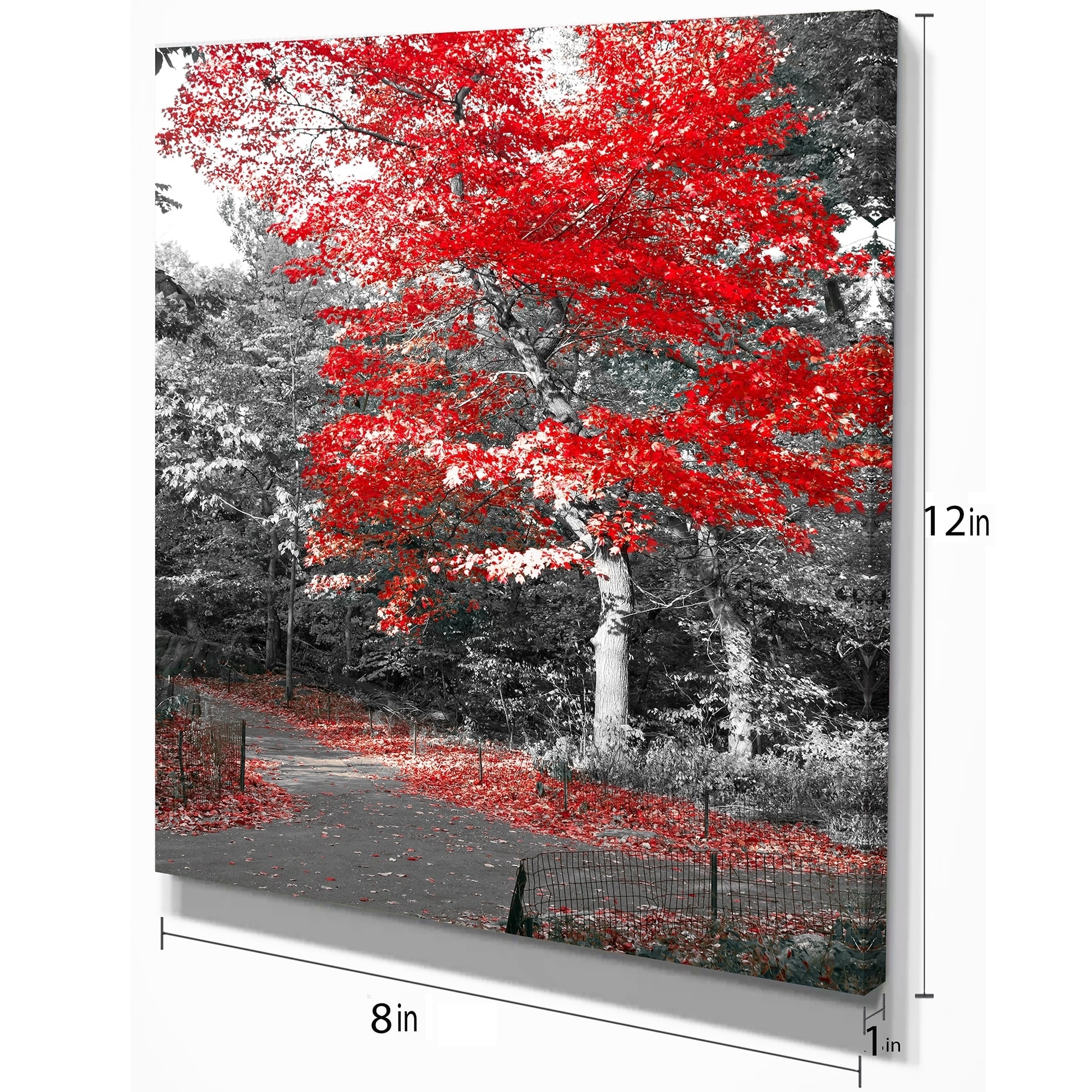 Park Love Trees LANDSCAPES  Canvas Art Print Box Framed Picture Wall Hanging BBD