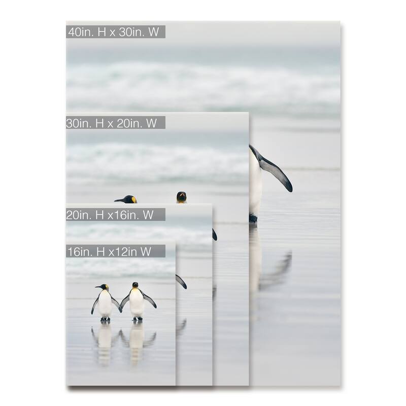 Friends' Penguin Wrapped Canvas Wall Art