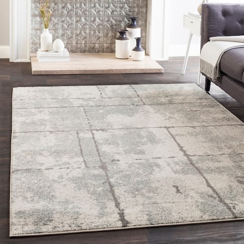 Buy Light Grey Graphic Area Rugs Online At Overstock Our Best Rugs Deals