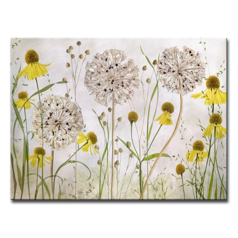 Alliums and Heleniums' Floral Wrapped Canvas Wall Art - Bed Bath ...