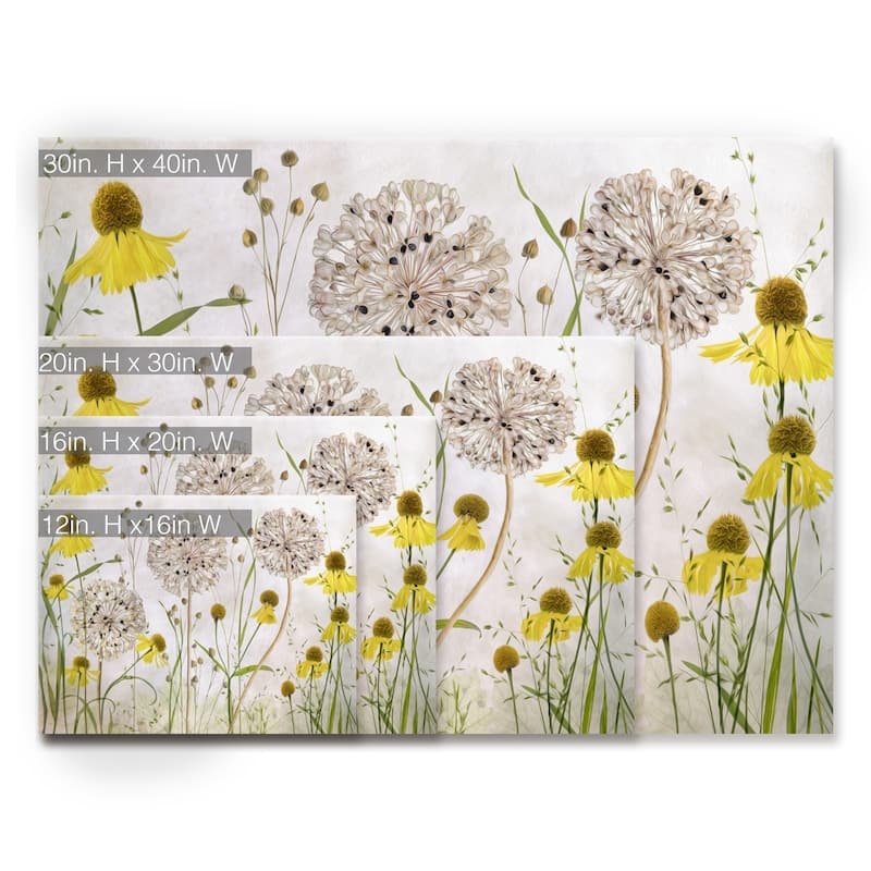 Alliums and Heleniums' Floral Wrapped Canvas Wall Art