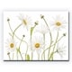 preview thumbnail 2 of 3, Ox Eye Daisies' Floral Wrapped Canvas Wall Art