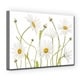 preview thumbnail 3 of 3, Ox Eye Daisies' Floral Wrapped Canvas Wall Art