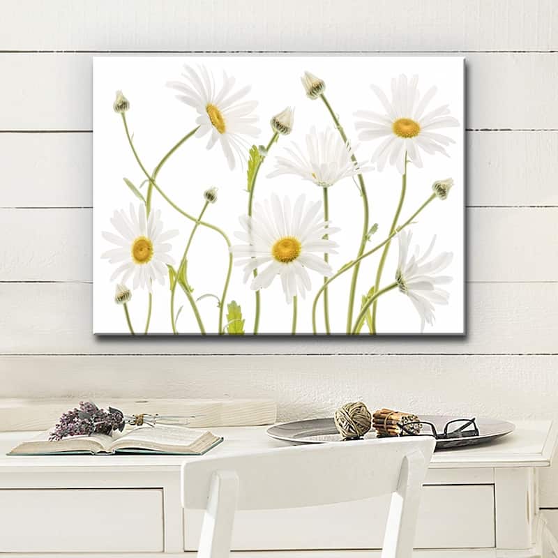 Ox Eye Daisies' Floral Wrapped Canvas Wall Art