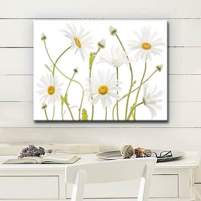 Ox Eye Daisies' Floral Wrapped Canvas Wall Art