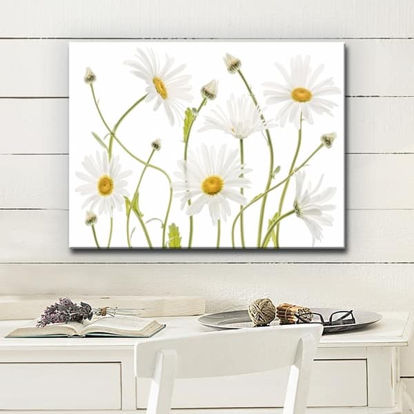 Shop Ox Eye Daisies Floral Wrapped Canvas Wall Art Overstock 21294532