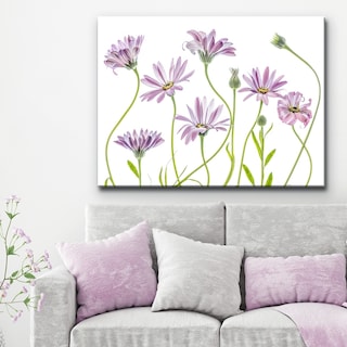 Cape Daisies I' Floral Wrapped Canvas Wall Art