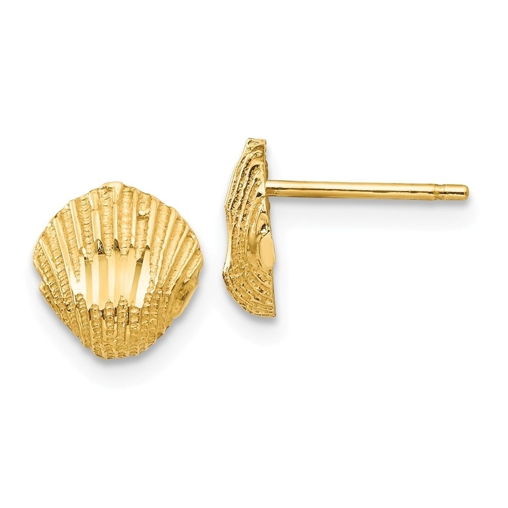 gold shell stud earrings