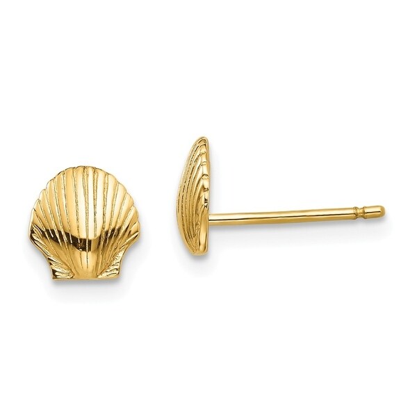 gold shell stud earrings