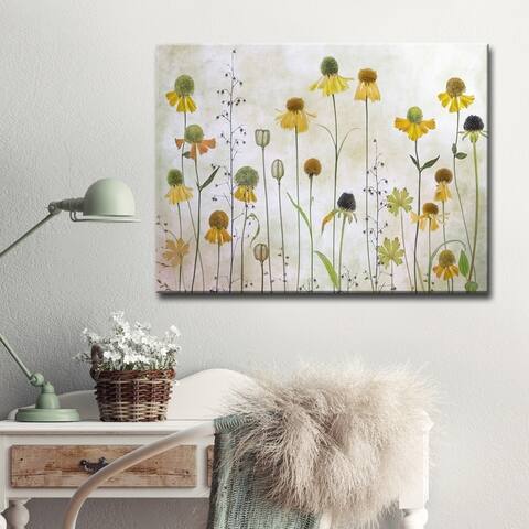 Helenium' Floral Wrapped Canvas Wall Art