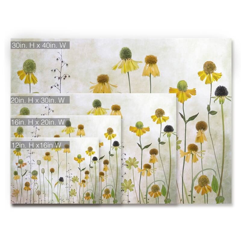 Helenium' Floral Wrapped Canvas Wall Art On Sale Bed Bath & Beyond