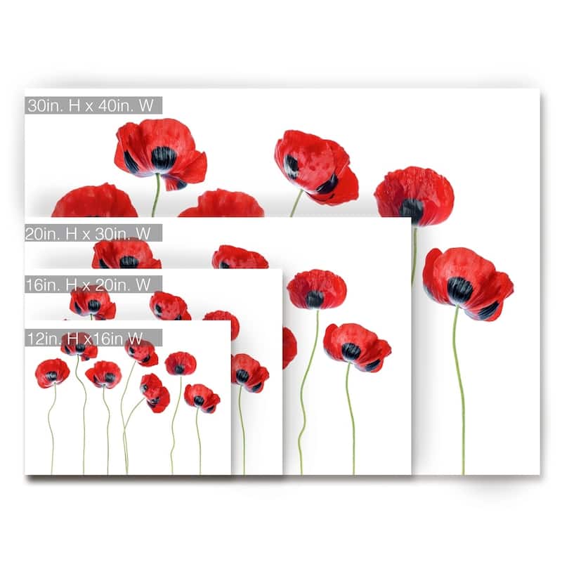 Ladybird Poppies' Floral Wrapped Canvas Wall Art