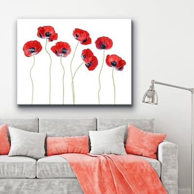 Ladybird Poppies' Floral Wrapped Canvas Wall Art