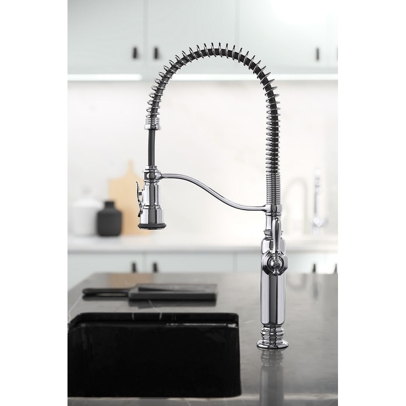 Shop Kohler Tournant Semiprofessional Kitchen Sink Faucet