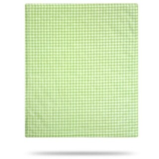 Denali Gingham Light Green/Light Green 30"x36" Baby Blanket