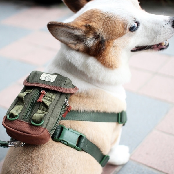 dog backpack harness