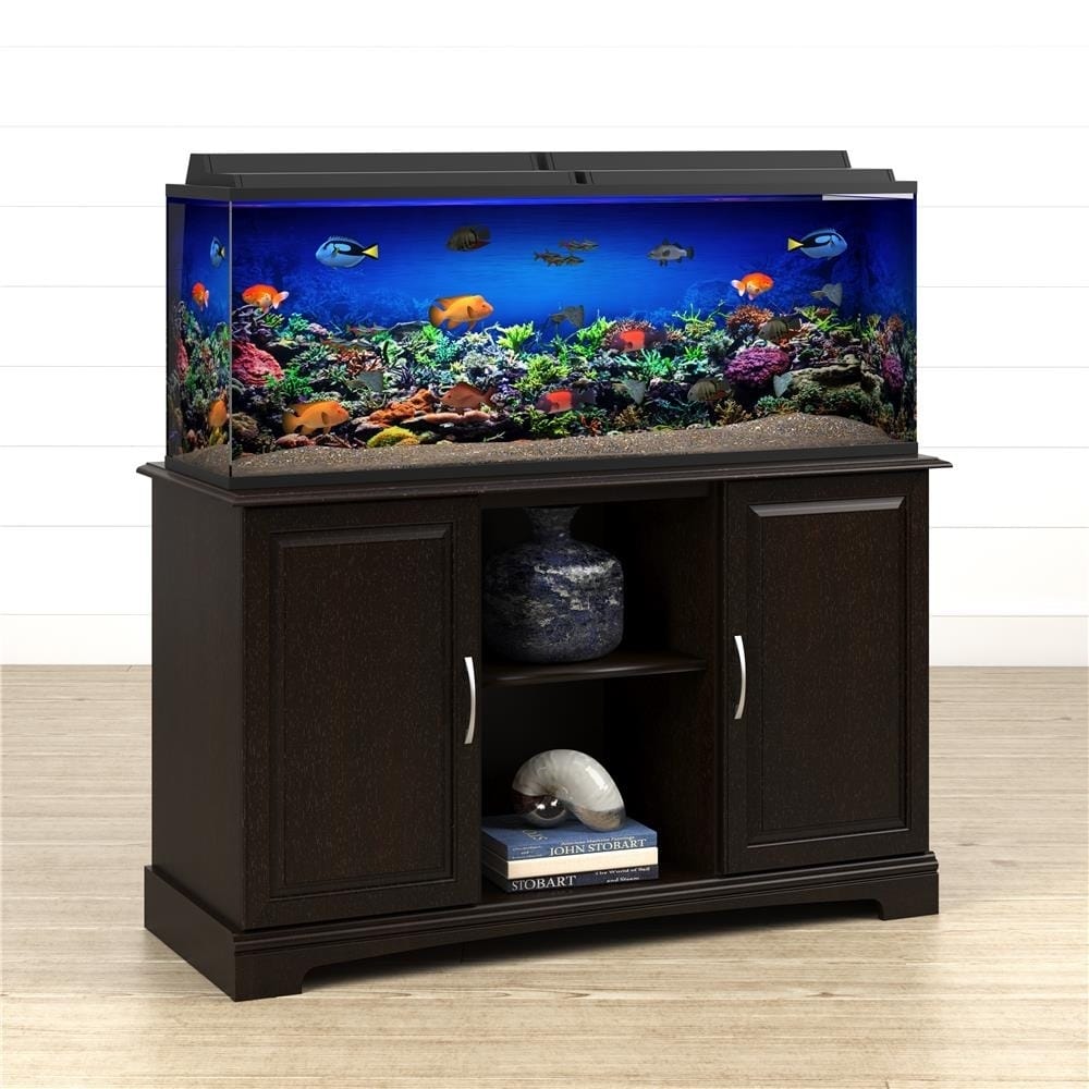 Fish,freshwater fish,saltwater fish,aquarium