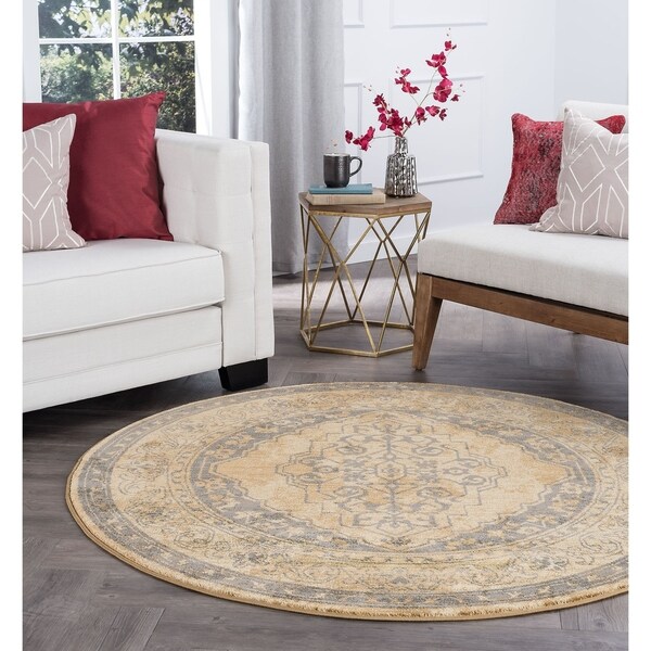 Alise Rugs Soho Transitional Border Round Area Rug - 5'3 x 5'3