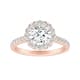 Option Rose