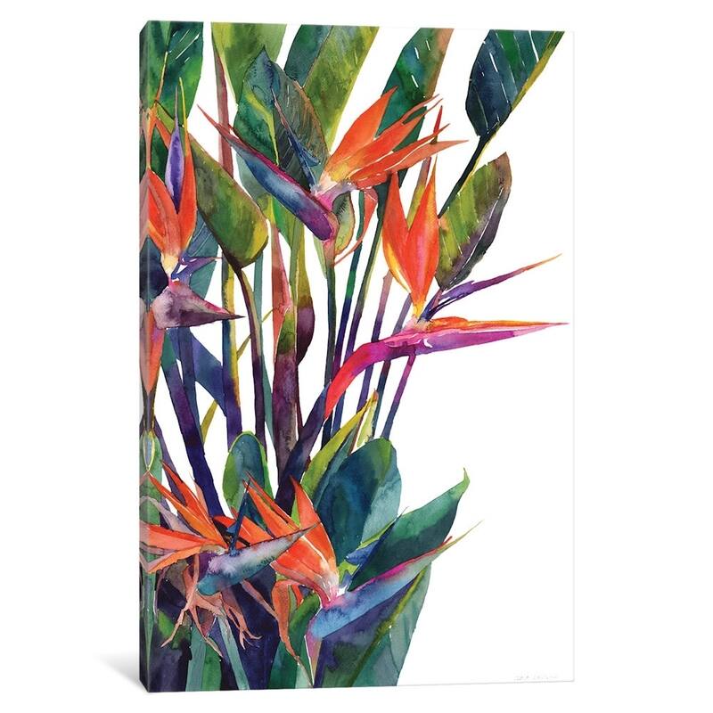 iCanvas "Bird Of Paradise" by Maja Wronska Canvas Print