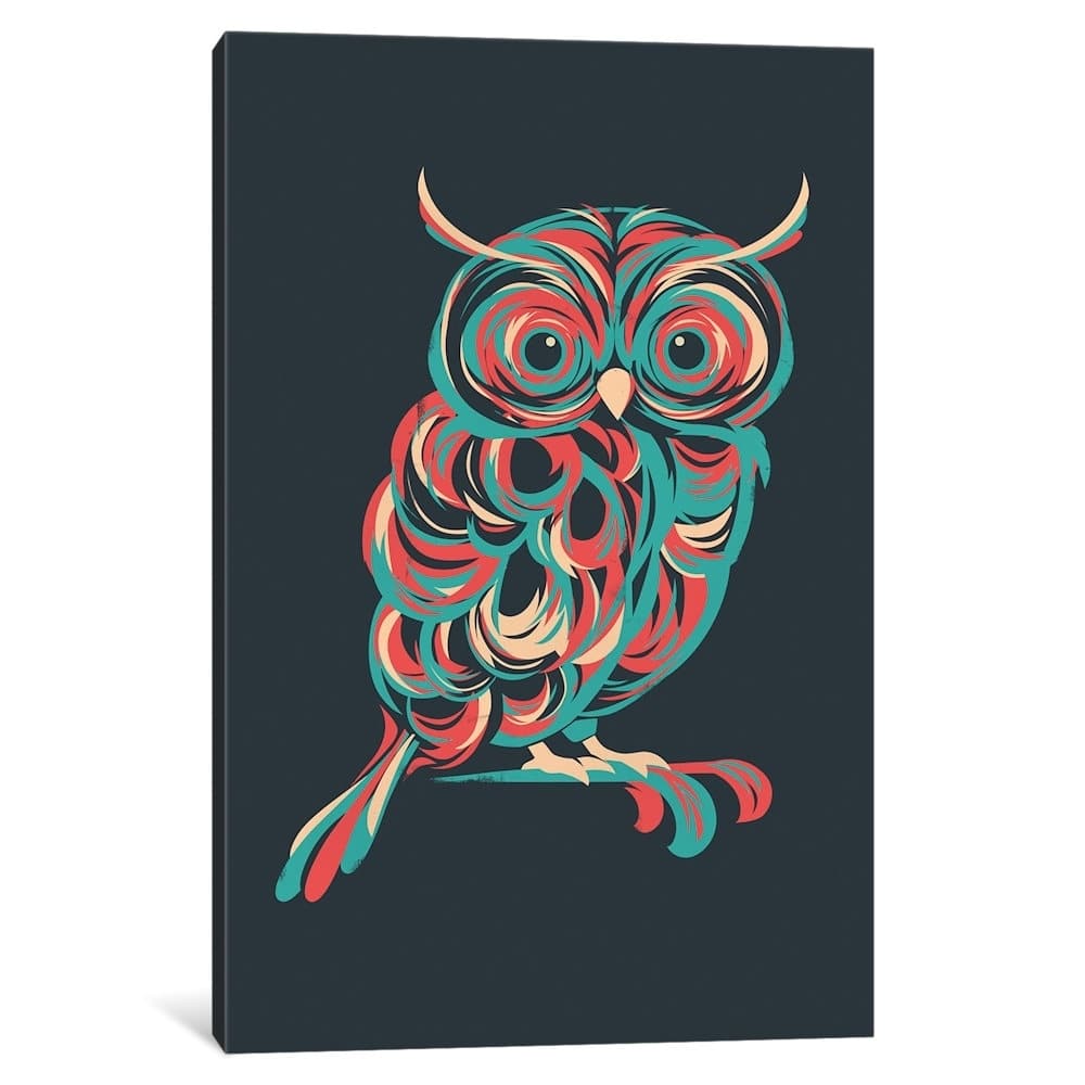 iCanvas "Night Owl" by Jay Fleck Canvas Print