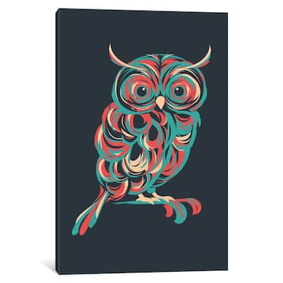 iCanvas "Night Owl" by Jay Fleck Canvas Print