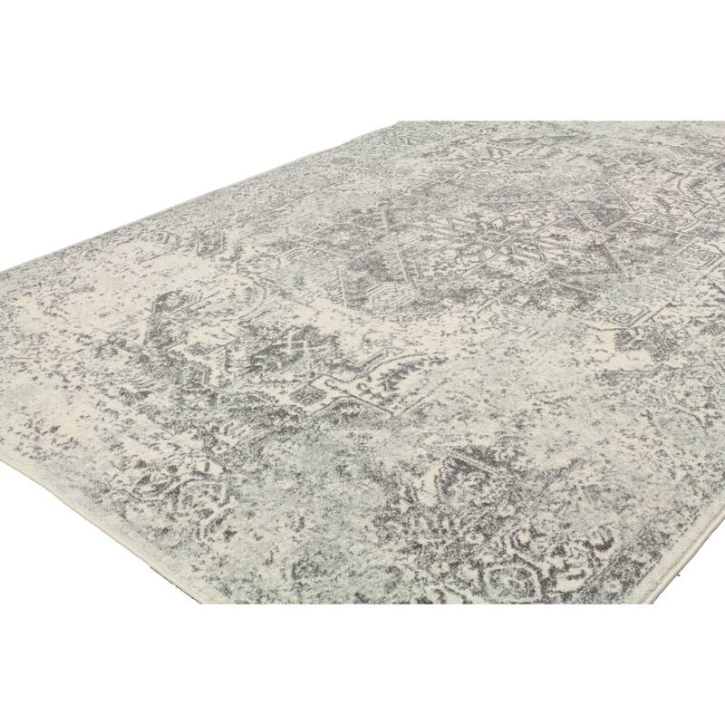 Bashian Digna Transitional Distressed Medallion Area Rug