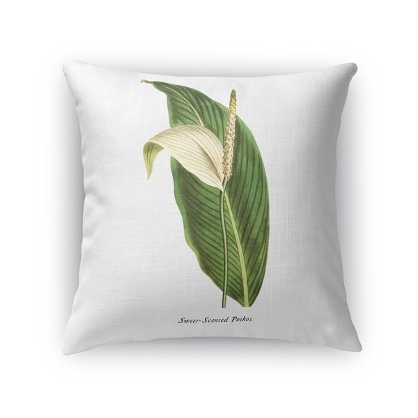 BOTANICAL TWO Accent Pillow By Kavka Designs