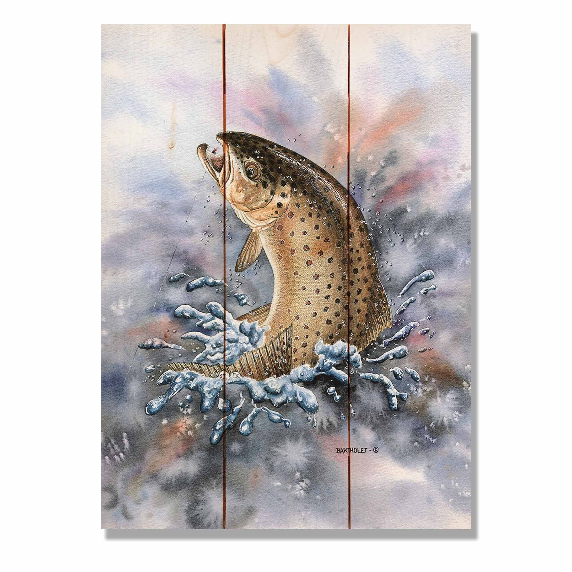 Shop Bartholet S Fish On Brown Trout 11x15 Indoor Outdoor Wall