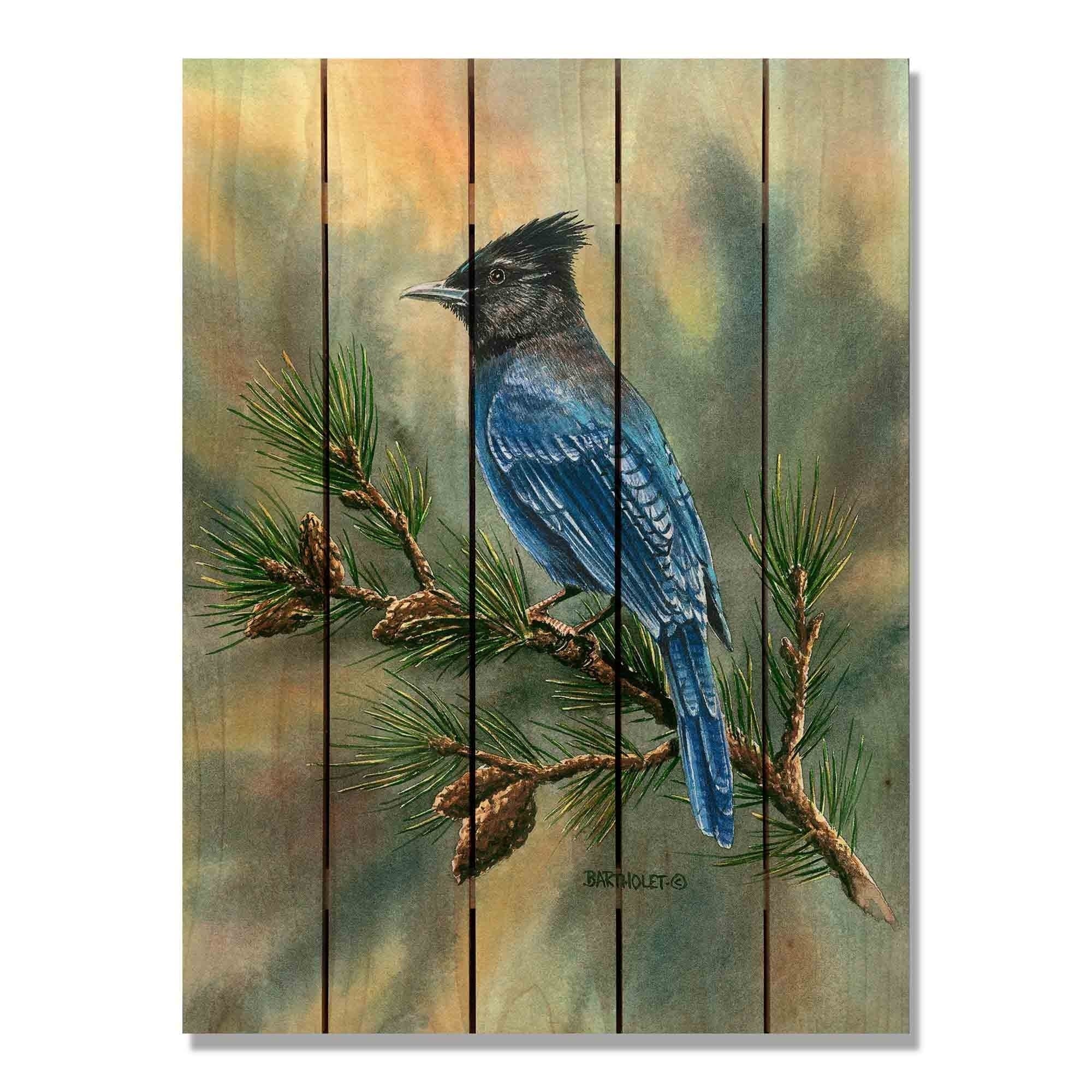 Shop Bartholet S Steller S Jay 28x36 Indoor Outdoor Cedar Wall