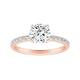 Option Rose