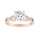 Option Rose