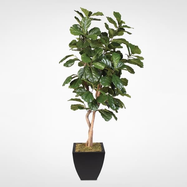 5’ Ficus Artificial Tree in Black Metal Planter