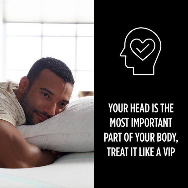Shop Tempur Proform Cloud Pillow On Sale Free Shipping Today
