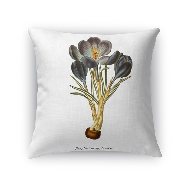 BOTANICAL FIVE Accent Pillow By Kavka Designs