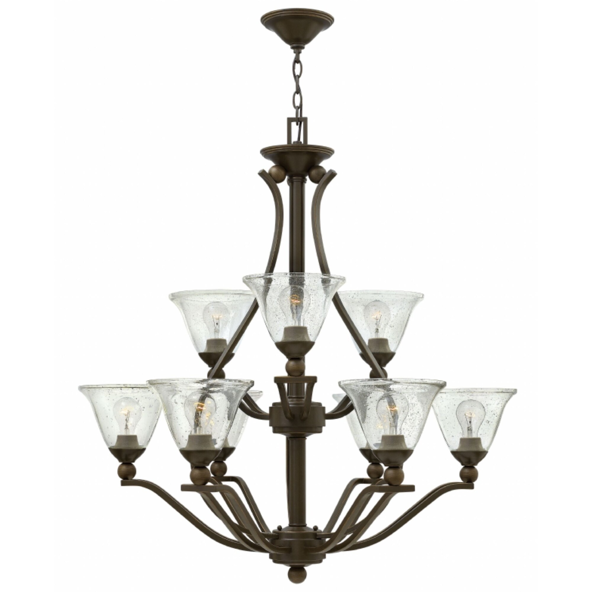 Hinkley Bolla 9-Light Chandelier in Olde Bronze with Clear Seedy - Chandeliers For Bedrooms by Overstock.com