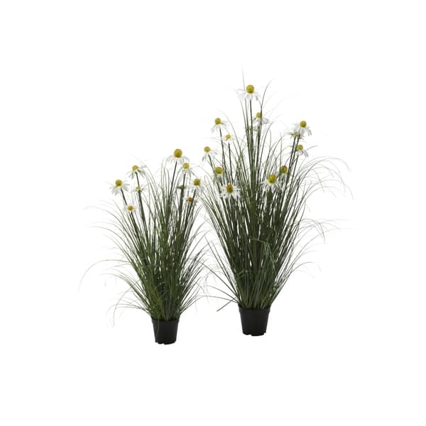 https://ak1.ostkcdn.com/images/products/21642703/White-Daisy-in-Wild-Grass-Set-of-2-420537e6-c02e-4f9e-bb7c-1355c06050c2_600.jpg?impolicy=medium