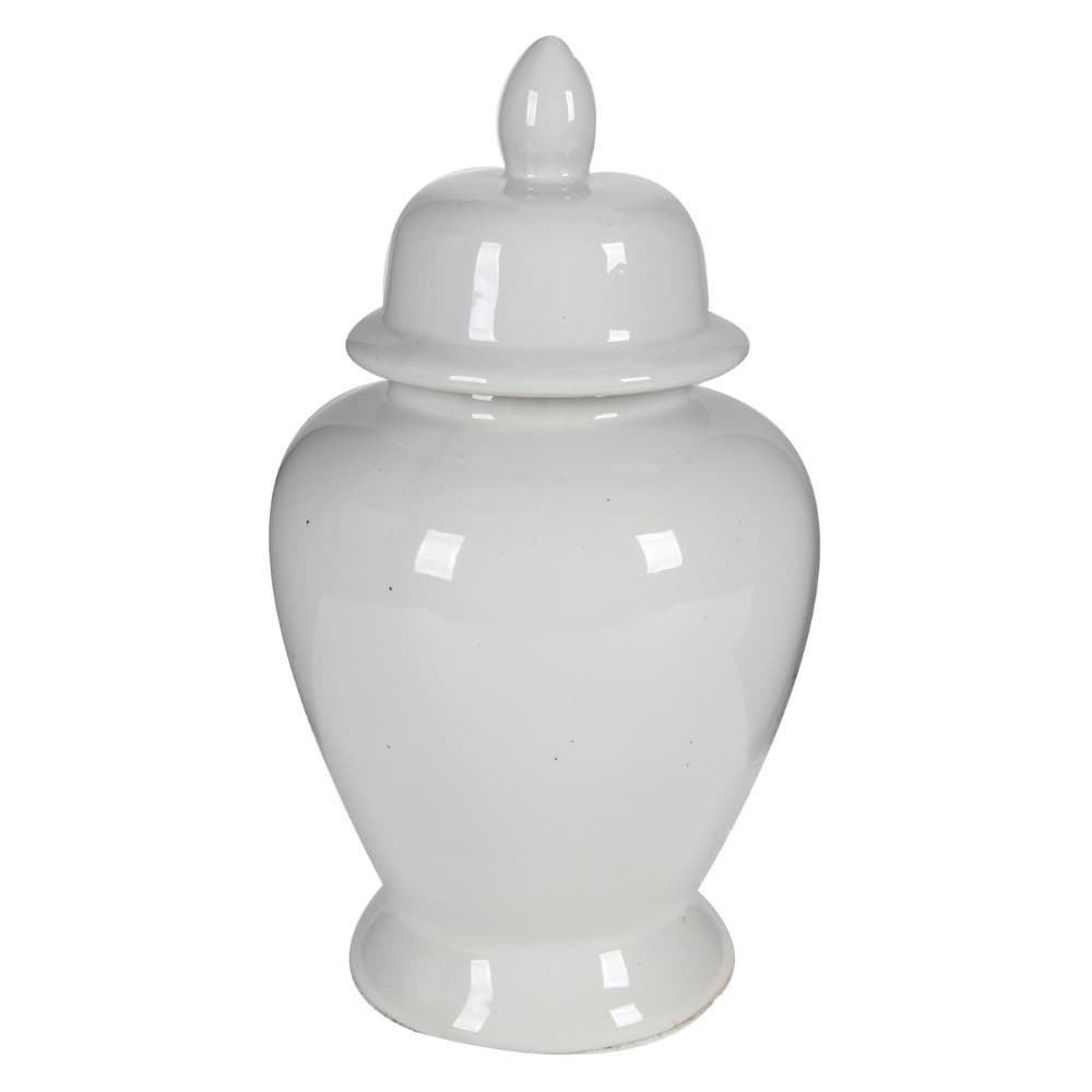 Large Ceramic Ginger Jar, White - Bed Bath & Beyond - 21657142