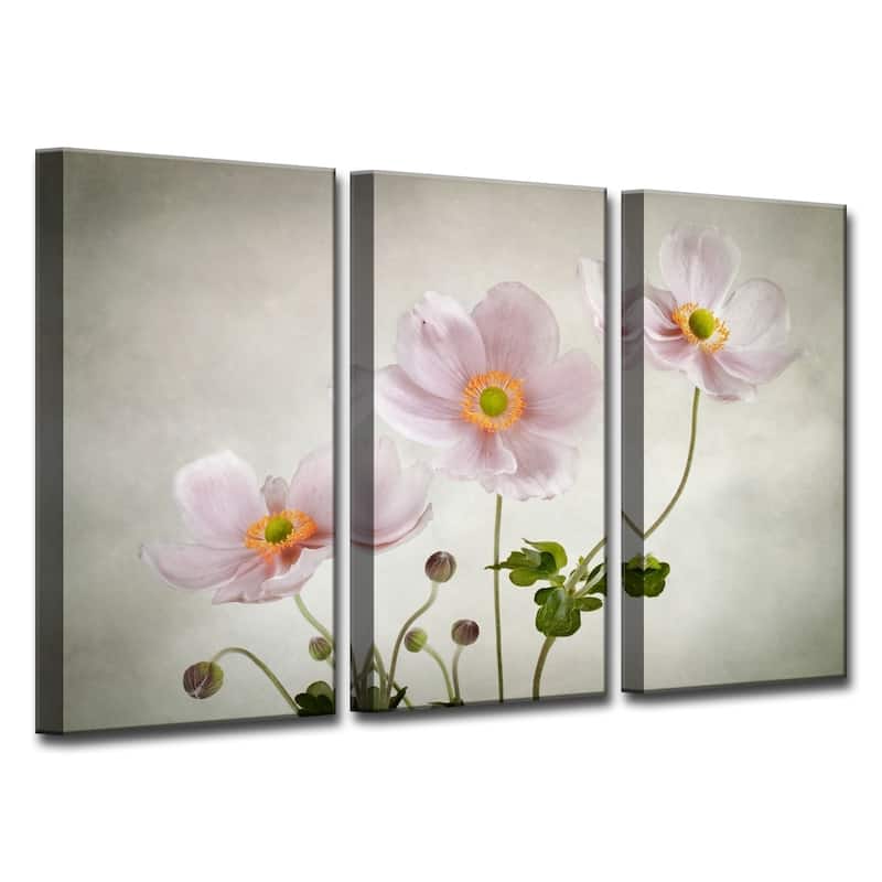 Ready2HangArt 'Anemones' 3-Pc Canvas Wall Décor Set