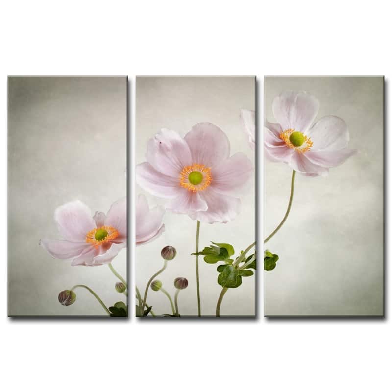 Ready2HangArt 'Anemones' 3-Pc Canvas Wall Décor Set