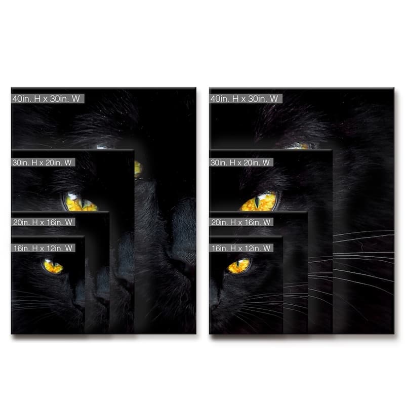Ready2HangArt 'The Hypnotist of the Night' 2-Pc Canvas Wall Décor Set